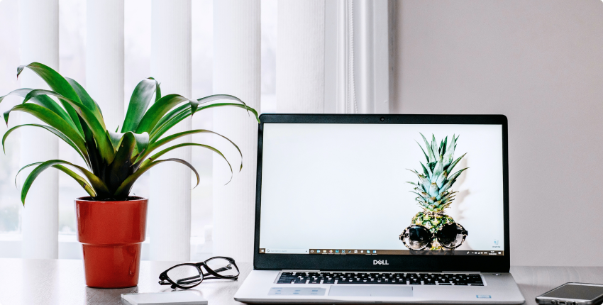 O'zbekistonda korrupsiyaga qarshi kurashish bo‘yicha yangi xalqaro NNT tashkil etildi