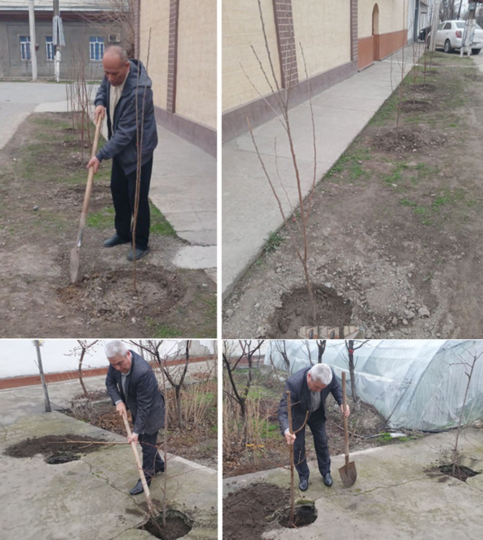 “Yashil makon”ga bizning hissamiz